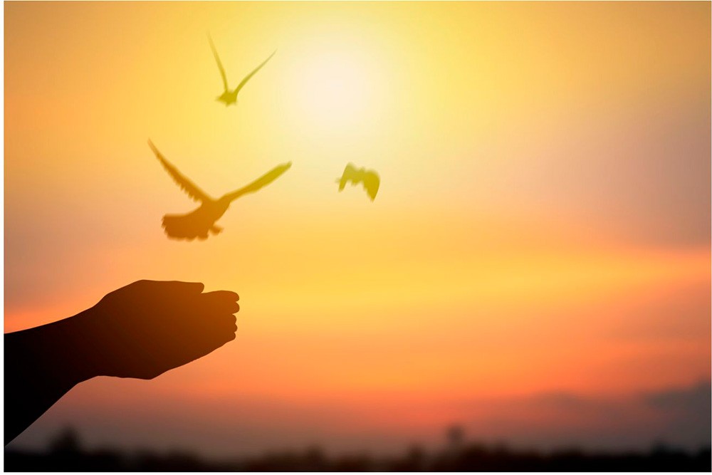 ¿CÓMO SOLTAR EN EL DUELO?