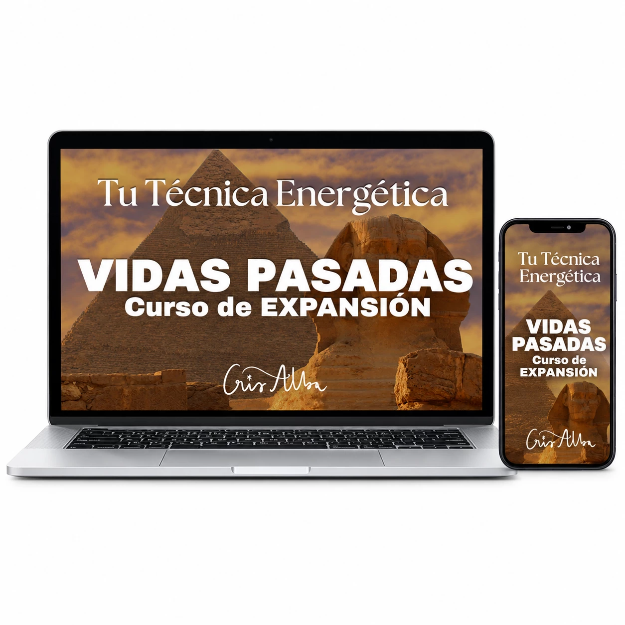 Mockup del curso Vidas Pasadas