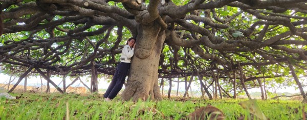 PROCESO DE 5 SESIONES CON CRIS ALBA