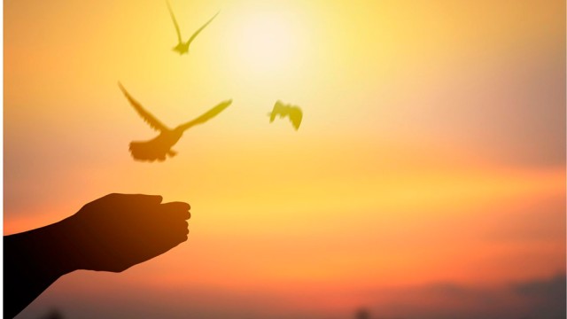 ¿CÓMO SOLTAR EN EL DUELO?